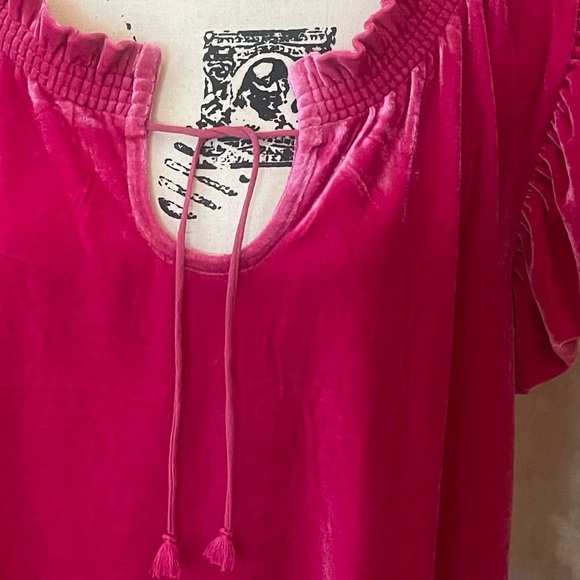 FREE PEOPLE TERESE PINK VELVET TOP LARGE - Picture 6 of 6